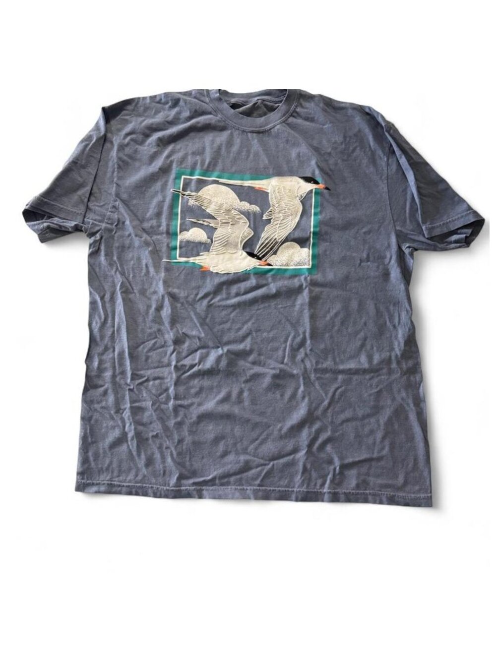 Bird Collective - Flying Terns - Unisex Short Sleeve T-Shirt (2XL)